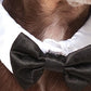 Rubie's Pet Bowtie and Cuff Set, Small/Medium