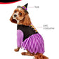 Rubies Witch Pet Costume for Dogs or Cats, Medium