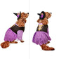 Rubies Witch Pet Costume for Dogs or Cats, Medium