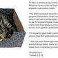 Purrfect Cat Box Modern Cat Box Lounger with Peek-a-Boo Cutout | Premium Corrugated Cardboard Cat Bed for Sleeping and Relaxation | Interactive Board Box for Indoor Kittens and Small Pets, Blue