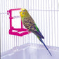 Penn-Plax Bird Life - Landing Perch with Mirror and Beads - Perfect for Parakeets, Finches, and Other Small Birds (BA504)