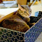 Purrfect Cat Box Modern Cat Box Lounger with Peek-a-Boo Cutout | Premium Corrugated Cardboard Cat Bed for Sleeping and Relaxation | Interactive Board Box for Indoor Kittens and Small Pets, Blue