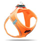 Tailpetz Dog Harness with Breathable Mesh, Reflective, Step-in, No Pull Dog Vest Harness for Small and Medium Dogs and Cats, Neon Orange, 3XS