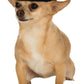 Rubies Cowboy Pet Hat for Dogs or Cats, M/L