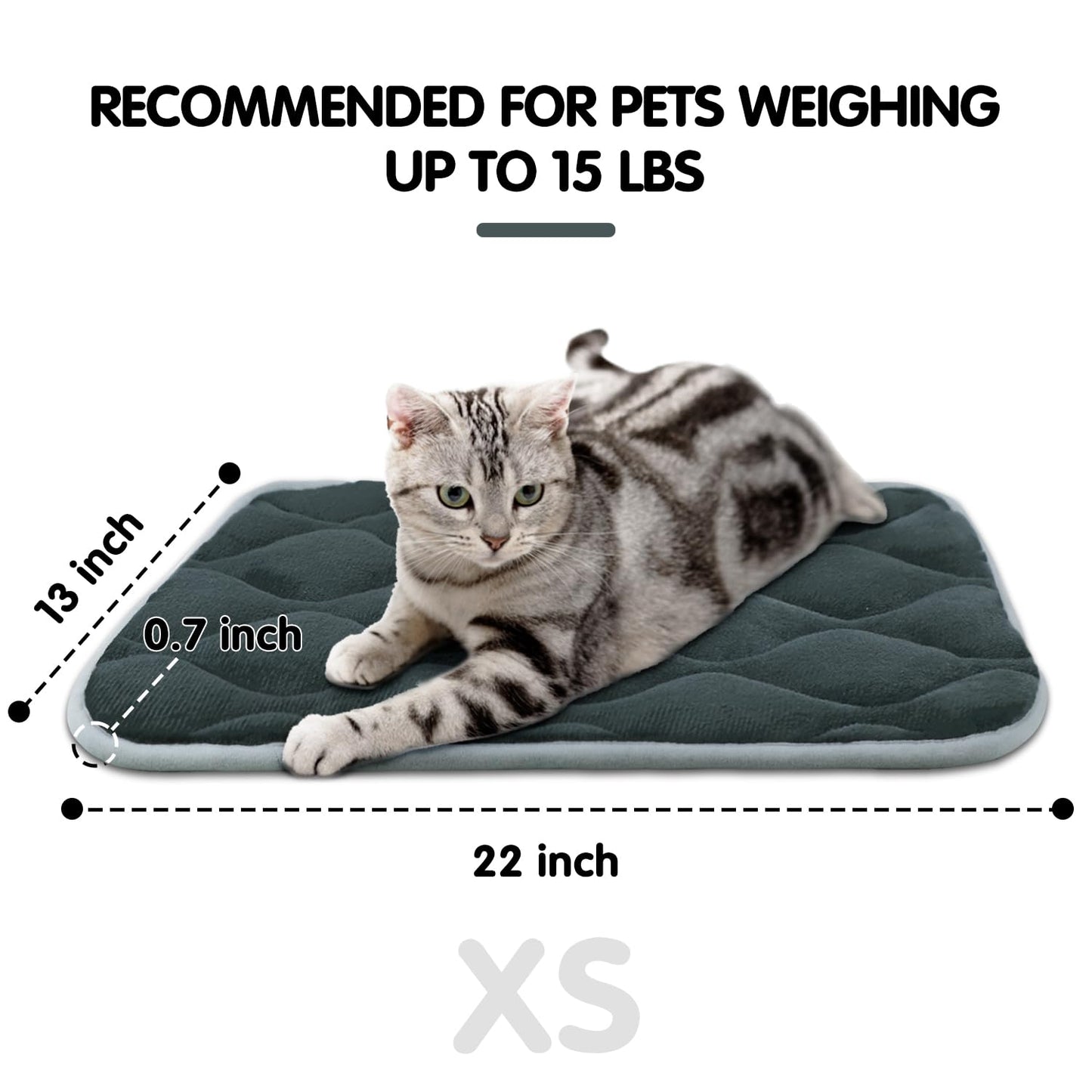 furrybaby Dog Bed Mat Flat Crate Mat with Anti-Slip Bottom Machine Washable Pet Kennel Pad for Dog Sleeping (XS 22x13'', Grey Mat)