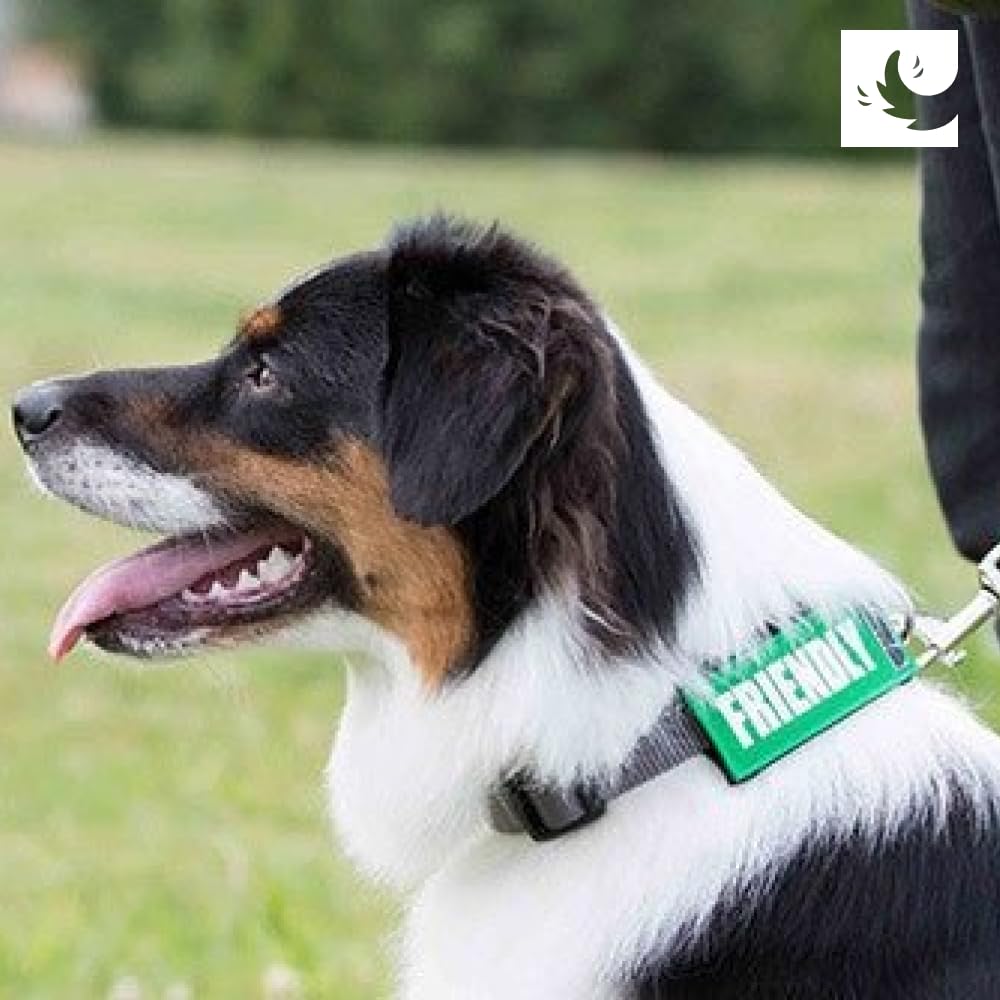 Canine Friendly Bark Notes Patch for Collar or Leash, No Dogs, 3/4" Width