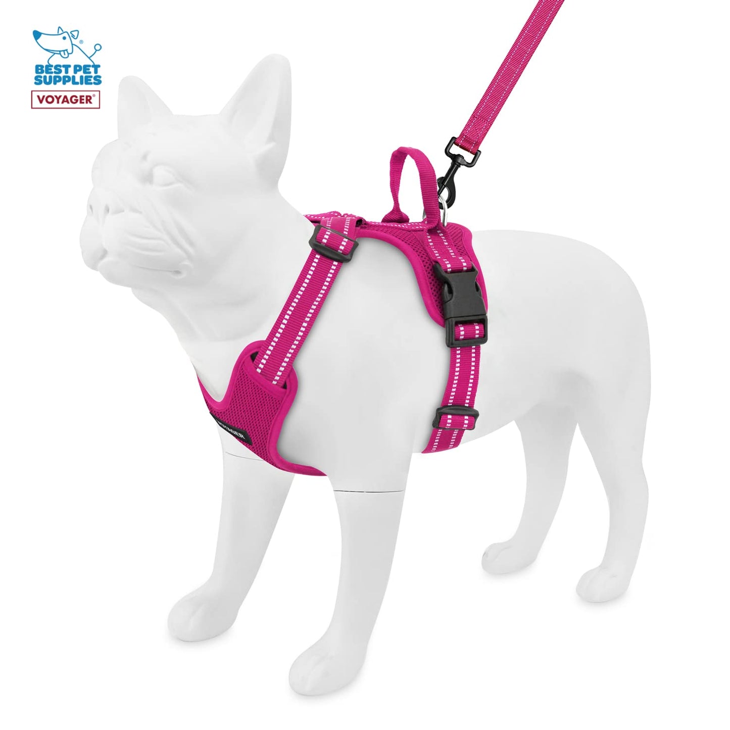 Air Frontier Mesh Dog Harness with and Reflective Dog Leash Set, Reflective Stitching, and Lightweight Breathable No-Pull Design, Adjustable Neck and Chest Straps for Small to Large Breeds - FSW, S