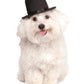 Rubies Top Hat Pet Hat for Dogs or Cats, S/M