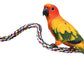 JW Pet Comfy Perch For Birds Flexible Multi-color Rope, Medium - 32" Length