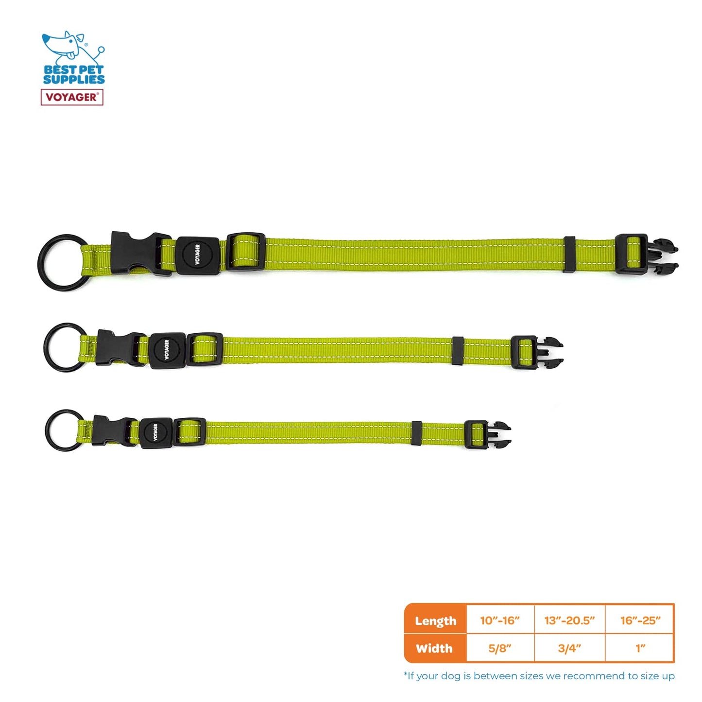 Best Pet Supplies Reflective Dog Collar with Adjustable Length, Heavy-Duty Buckle, and Strong Leash D-Ring, Training, Walking, Jogging Accessory for Small, Medium, and Large Breeds - Lime Green, M