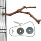 PINVNBY Parrot Perches Natural Birds Stand Wild Grape Stick Grinding Paw Climbing Wood Cage Accessories and Toy for Parakeet, Lovebirds,Budgies,Cockatiels and Finches
