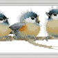 Cross Stitch Kits, Three Birds Awesocrafts Easy Patterns Cross Stitching Embroidery Kit Supplies Christmas Gifts, Stamped or Counted (Birds, Stamped)