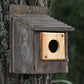 4 Pieces Bluebird House Predator Guard,Wooden Birdhouse Guard,Bird House Hole Protector Guard for Eastern Bluebird Box 1 1/2 Inch Opening