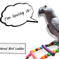 DS. DISTINCTIVE STYLE Bird Ladder Toys Coloured Flexible Parrot Swing Bridge Wooden Cockatiel Cage Hanging Climbing Ladder