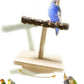 Natural Wood Bird Perch Stand Training, Intelligence Puzzle Enrichment Toys for Parakeets, Wooden Parrot Perch Platform, Bird Playground Play Stands for Conure Cockatiel (Wood, Small)