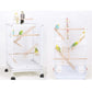 GXXMEI 4PCS Bird Toys - Wooden Ladder Climbing Toys for Parakeets, Parrots, Cockatoo & Lovebirds