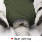 oUUoNNo Cat Wound Surgery Recovery Suit for Abdominal Wounds or Skin Diseases, After Surgery Wear, Pajama Suit, E-Collar Alternative for Cats (M, ArmyGreen)