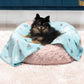 Juicy Couture Plush Flannel Pet Throw Blanket, Turquoise Juicy Scottie Hearts