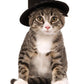 Rubies Top Hat Pet Hat for Dogs or Cats, S/M