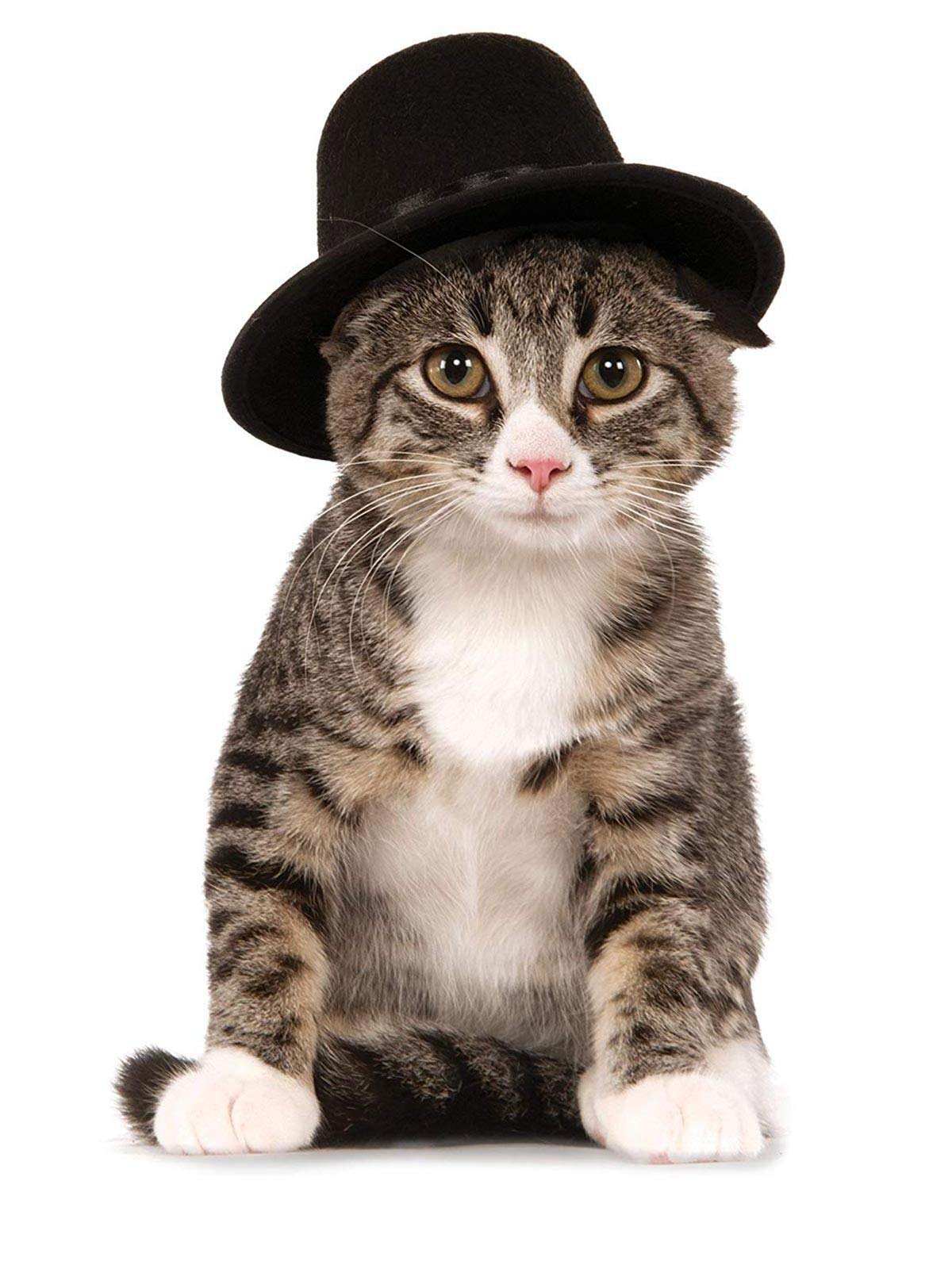 Rubies Top Hat Pet Hat for Dogs or Cats, S/M