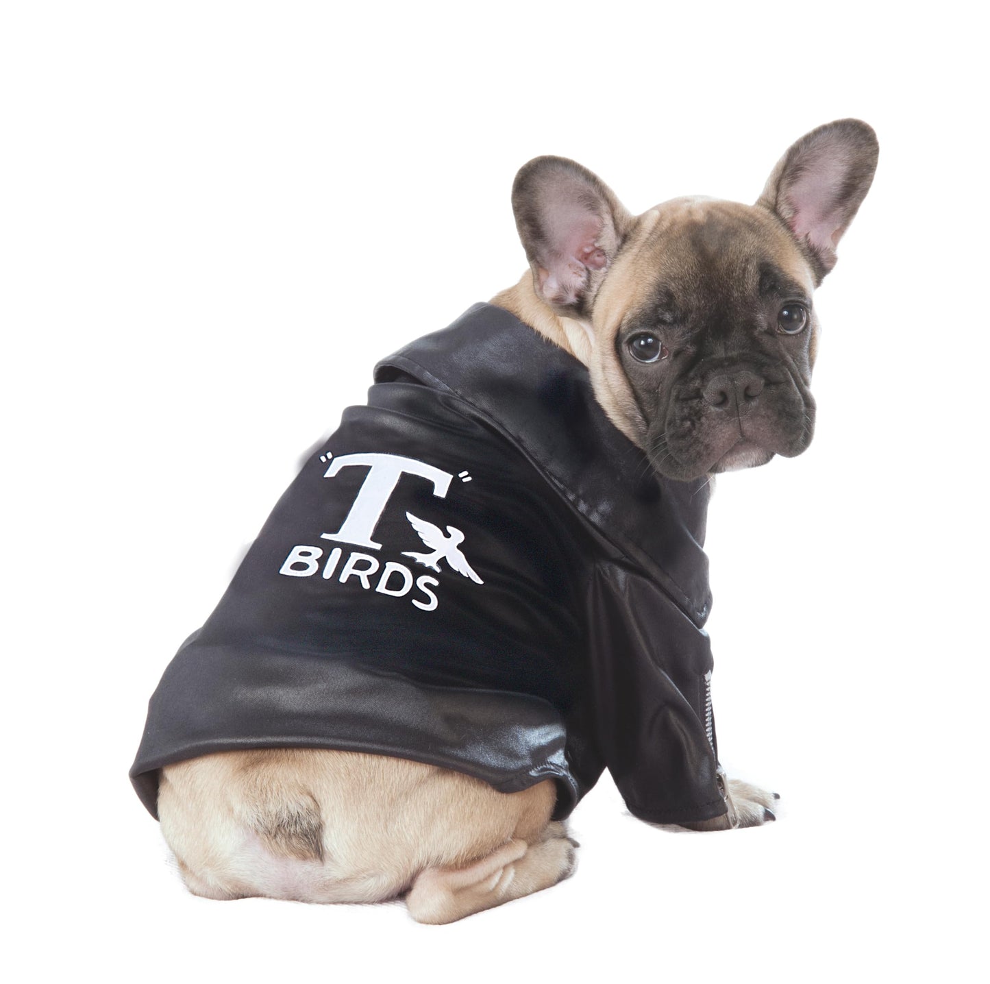 Grease: T-Birds Pet Costume for For Dogs or Cats by Rubies, Small