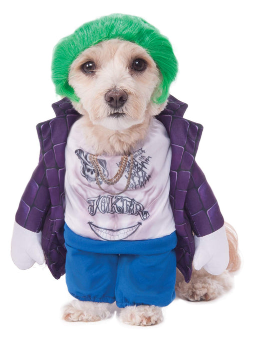 DC Villains Suicide Squad: The Joker Pet Costume for For Dogs or Cats by Rubies, XL