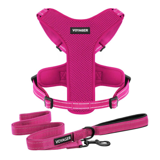 Air Frontier Mesh Dog Harness with and Reflective Dog Leash Set, Reflective Stitching, and Lightweight Breathable No-Pull Design, Adjustable Neck and Chest Straps for Small to Large Breeds - FSW, S