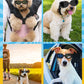 Lewondr Dog Sunglasses Small Breed Goggles UV Protection,Goggles for Small Dogs Eye Wear Protection with Adjustable Strap Windproof Anti-Fog Sunglasses for S-mall Doggy Doggie Glasses,Black