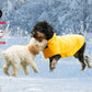 Fleece Dog Coat Pet Jacket Reflective for Cold Weather for Extra Large to Small Pets(Yellow,M)