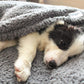 furrybaby Dog Blanket Soft Dog Blankets for Large Dogs Puppy Essentials Washable Sherpa Fleece Cat Blanket 32x40 Inches for Bed Furniture Couch Sofa (Medium, Grey)