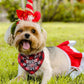2 Pack Dog Christmas Bandanas for Puppy Cat,Plaid Christmas Scarf for Dogs