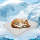 Rzxlszy Cat Cooling Mat 20" x 15" Small Pad for Dogs Sleeping Mats for Dog and Cat Durable Self Cool Pet Blanket Outdoor Indoor Non-Slip Cooling Dog Crate Mats (Gray)