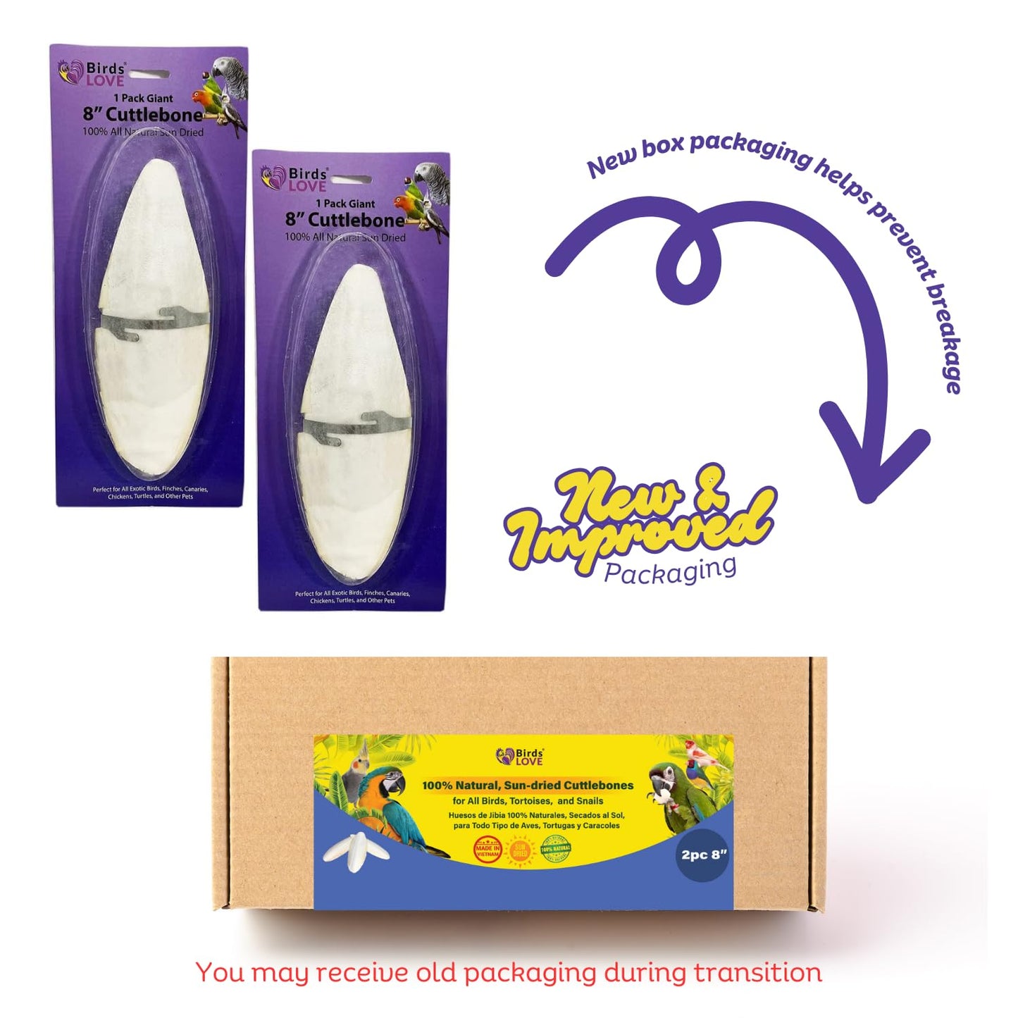 Birds LOVE 2 pc 7.5–8″ Sun-Dried Natural Cuttlebone Kit | 100 % Pure Calcium Supplement for Birds, Tortoises, Snails & Crabs | Beak & Shell Health with Metal Holder