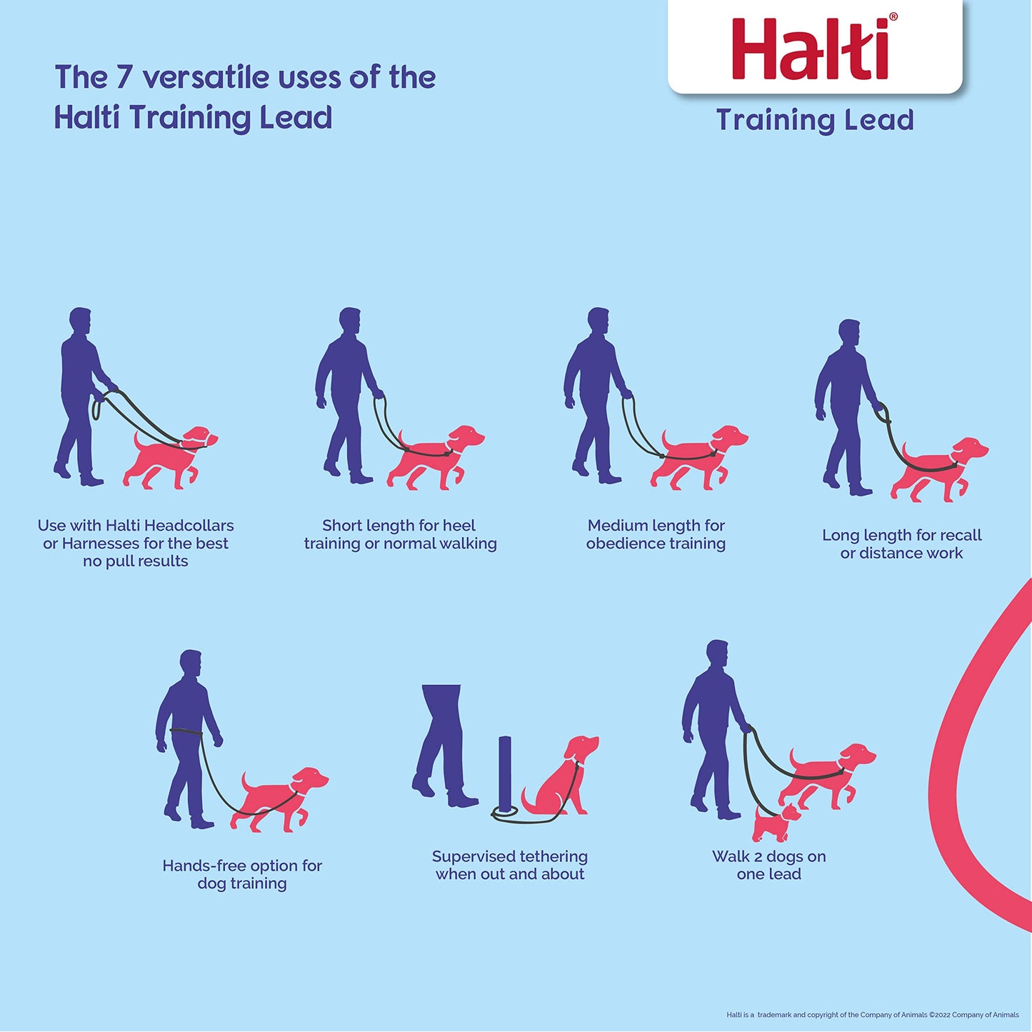 HALTI Training Leash - Multifunctional Double-Ended Dog Leash, Ideal for Anti-Pulling Dog Training. Easy to Use, Lightweight, Soft & Durable. Suitable for Puppies and Small Dogs (Size Small, Black)