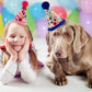 Arogheiz 3/4/5Pcs Small Cats Dogs Birthday Hats Set，Kitten Puppies Party Decoration Hats Grooming Accessories (4 Pcs Dot Print)