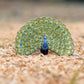 Safari Ltd. Peacock Figurine - Detailed 4" Plastic Model Figure - Fun Educational Play Toy for Boys, Girls & Kids Ages 3+