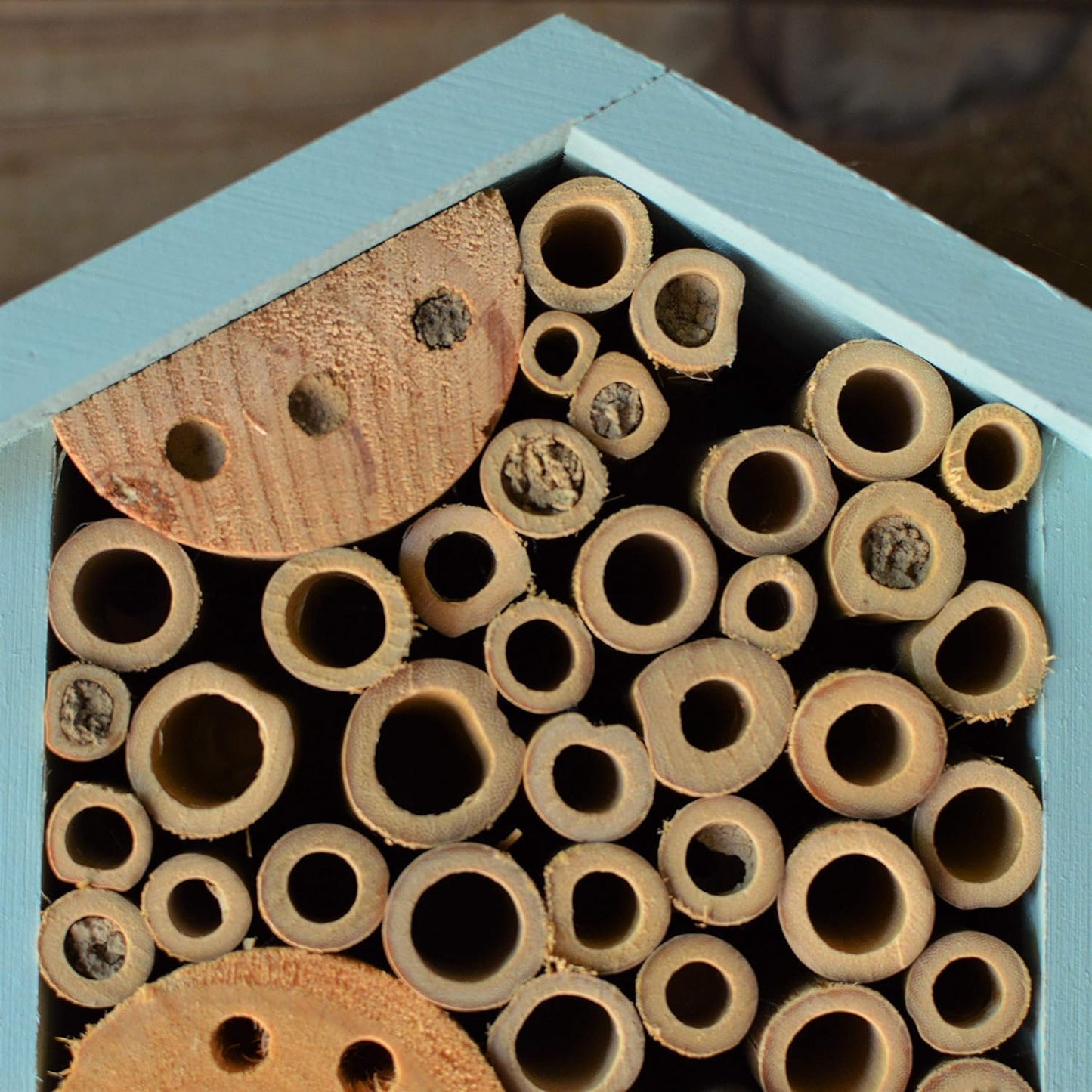 Nature's Way Bird Products PWH1-C Teal Bee House