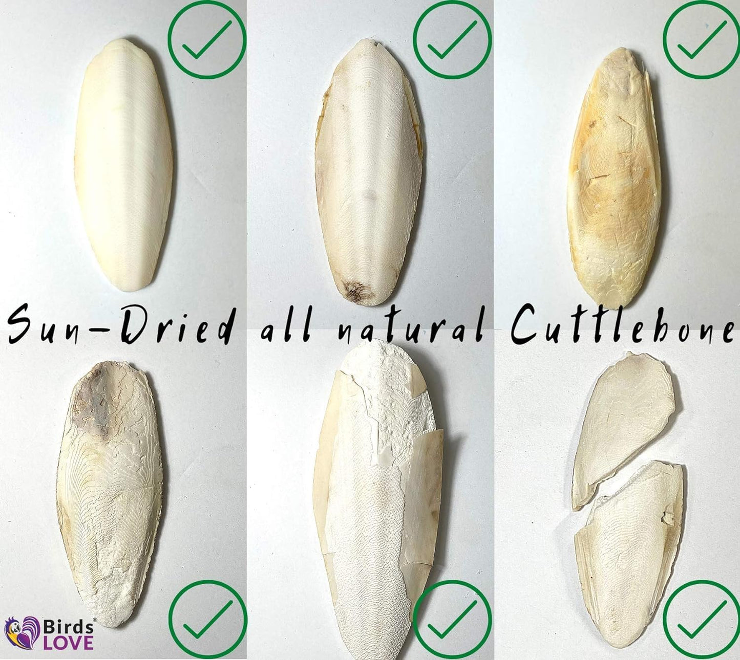 Birds LOVE 2 pc 7.5–8″ Sun-Dried Natural Cuttlebone Kit | 100 % Pure Calcium Supplement for Birds, Tortoises, Snails & Crabs | Beak & Shell Health with Metal Holder