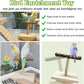 Natural Wood Bird Perch Stand Training, Intelligence Puzzle Enrichment Toys for Parakeets, Wooden Parrot Perch Platform, Bird Playground Play Stands for Conure Cockatiel (Wood, Small)
