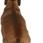 Rubies Cowboy Pet Hat for Dogs or Cats, M/L