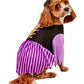 Rubies Witch Pet Costume for Dogs or Cats, Medium