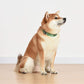 Marvel Comics The Hulk Dog Collar, Small Green & Purple | Officially Licensed Marvel The Incredible Hulk Dog Collar | Small Dog Collar for Small Dogs with D-Ring, Cute Dog Apparel & Accessories