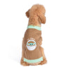 Star Wars Mandalorian The Child Dog Sweater - The Mandalorian & Grogu Pet Outerwear for Dogs - Officially Licensed Dog Apparel & Accessories, Size Medium