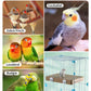 12.3 Inch Paper Bird Toys, Bird Platform, Parrot Toy, Help Birds Clean Beak, Release Stress, Reduce Boredom - Suitable for Budgie, Cockatiel, Lovebird, and Other Small to Medium-Sized Pet Birds