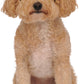 Rubies Cowboy Pet Hat for Dogs or Cats, M/L