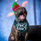 2 Pack Dog Christmas Bandanas for Puppy Cat,Plaid Christmas Scarf for Dogs