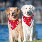 SCENEREAL Christmas Dog Bandana, Double Side Dog Scarf for Small Medium Large Dogs Cats Puppy,Holiday Bandanas for Dogs Boys Girls, Premium & Soft Fabric Pet Accessories for Birthday Party Days