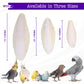 Birds LOVE 2 pc 7.5–8″ Sun-Dried Natural Cuttlebone Kit | 100 % Pure Calcium Supplement for Birds, Tortoises, Snails & Crabs | Beak & Shell Health with Metal Holder