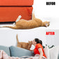 Petslucent Cat Scratch Furniture Protector Tape, Cat Anti Scratch Training Tape, Double Sided Clear Sticky Paws Guards for Carpet, Sofa, Couch, Door (3''x 30 Yards)