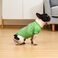 Star Wars Grogu May The Luck Be with You Tee for St. Patrick's Day | Green, Size Large | Cute Dog Clothes, Apparel